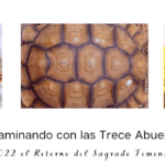 Lee más sobre el artículo Luna en Cancer